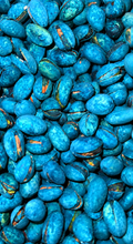 Blue pistachos
