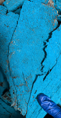 Blue carne seca